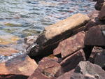 040809_2213_Michigan_019.jpg