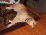 050220-2006 Sophie-BD 007