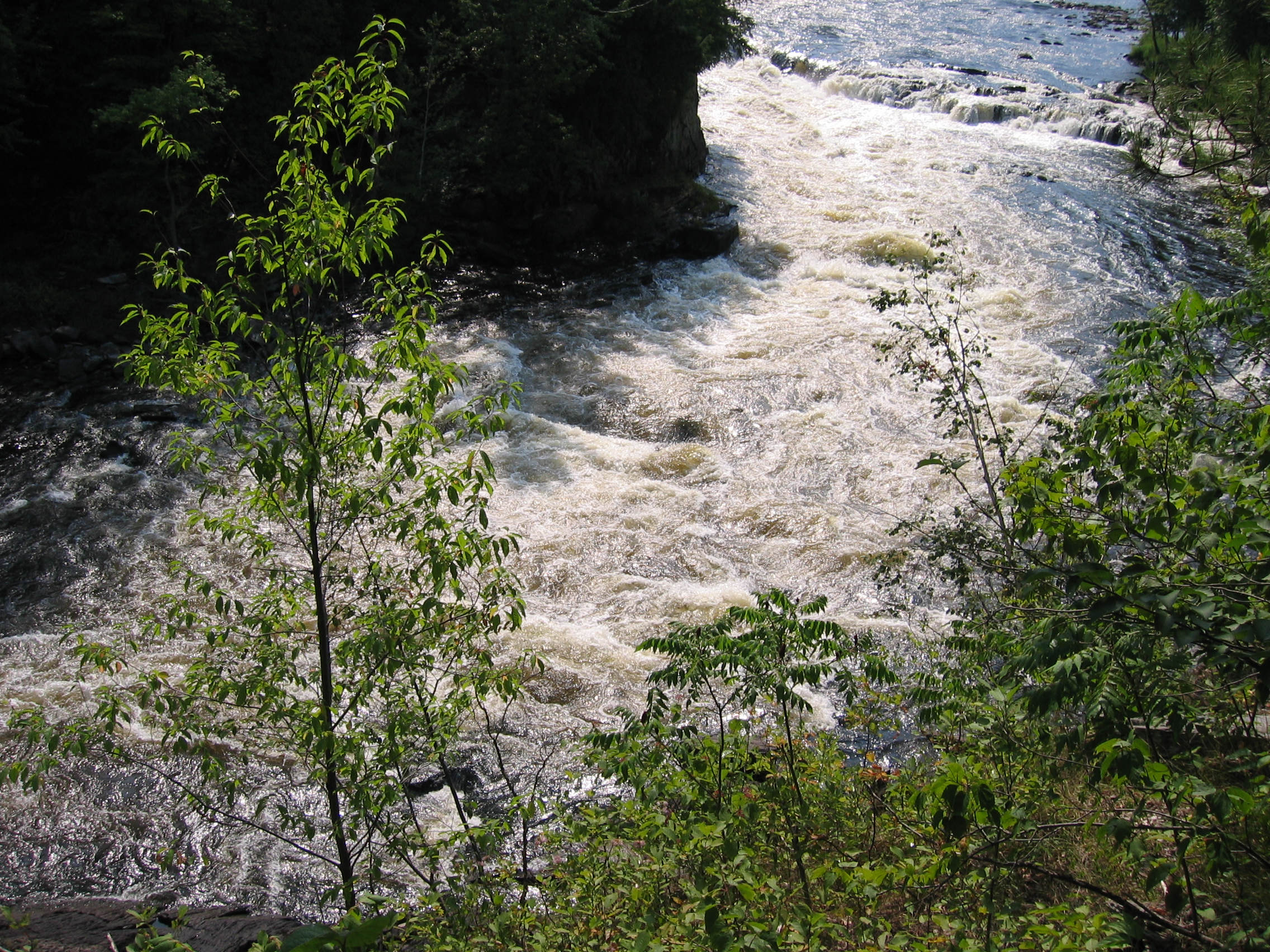 040809_2213_Michigan_065.jpg