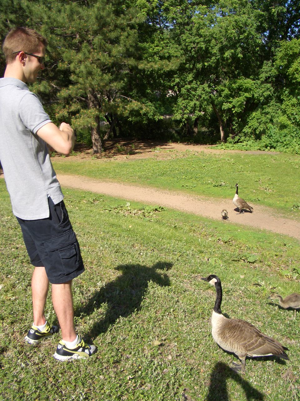 Ducks and Geese! (8).JPG