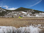 Green Bay Packer-Colored House