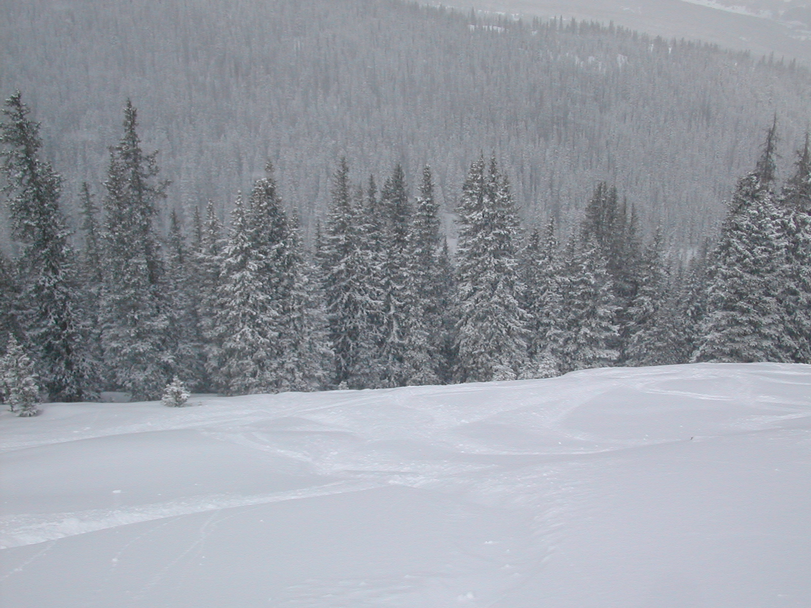 Powdery mountainside panorama 5