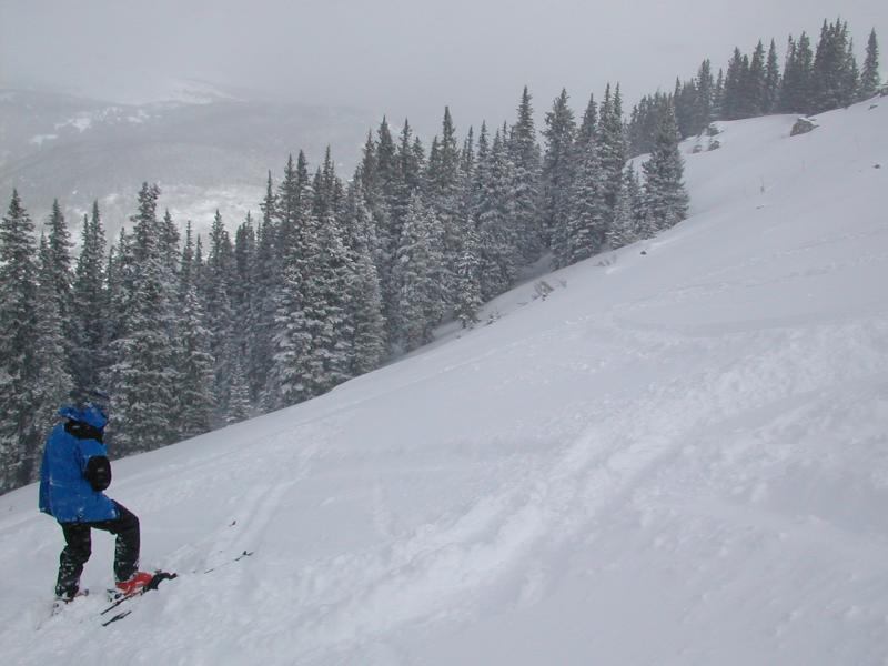 Powdery mountainside panorama 8