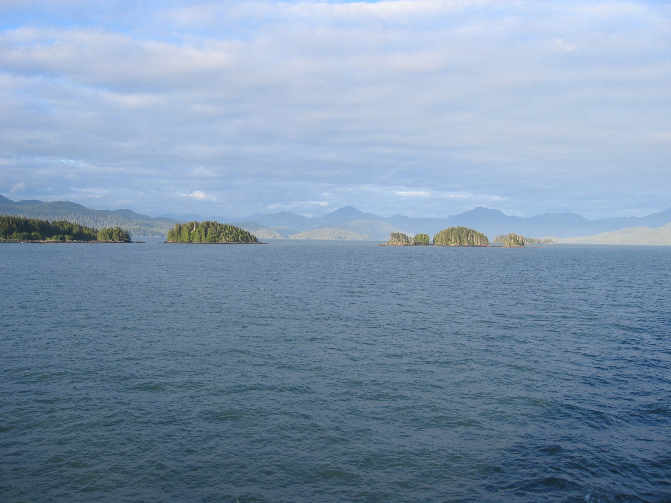 More shore...so that's what you can see from a boat!