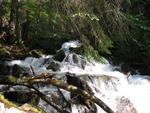 A really cool waterfall on my hike up the mountain in Skagway