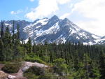 View ~3/5 up the mountain in Skagway