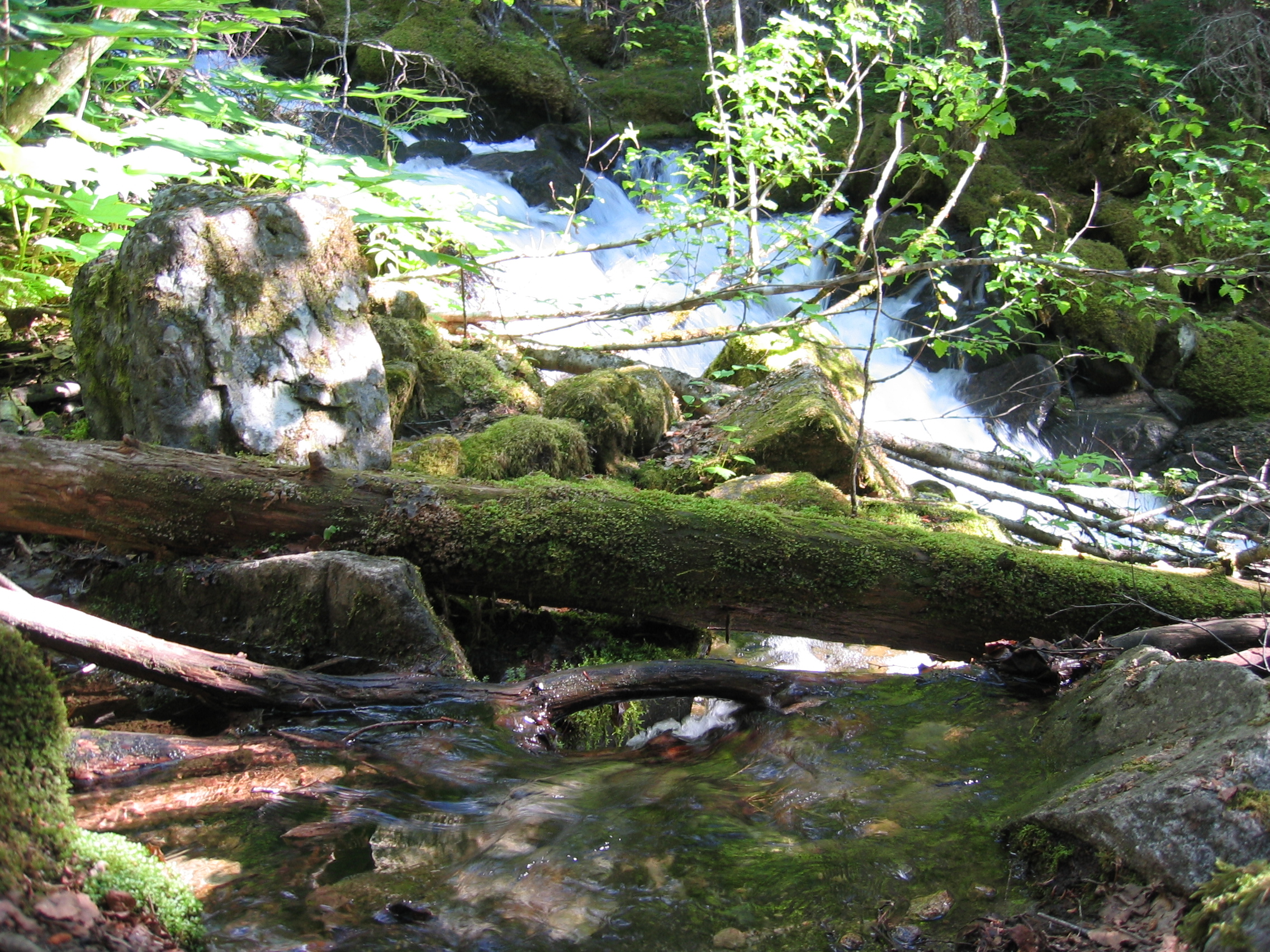 Cool section of river with slow and fast-moving water