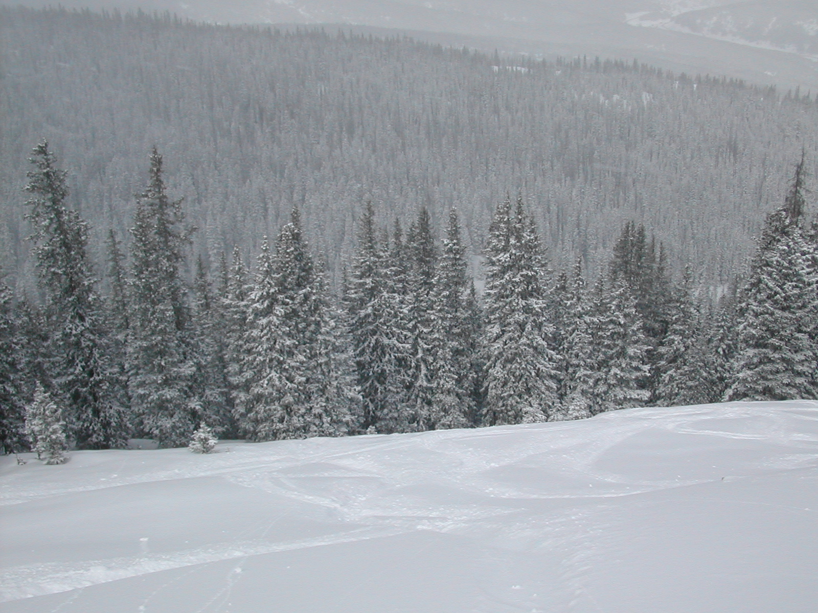 Powdery mountainside panorama 1