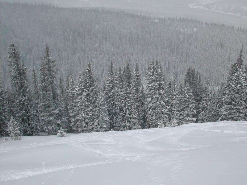 Powdery mountainside panorama 1
