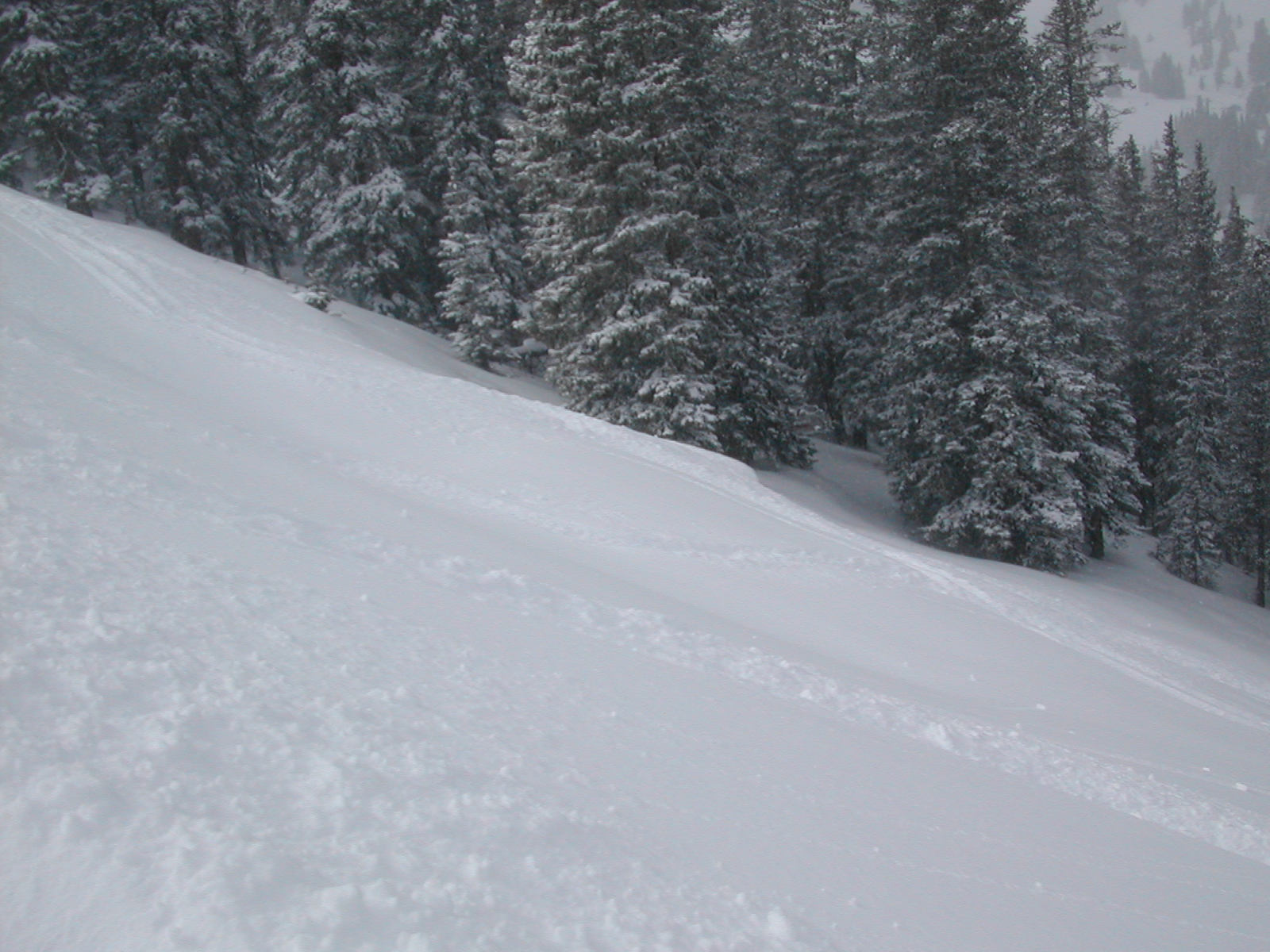 Powdery mountainside panorama 2