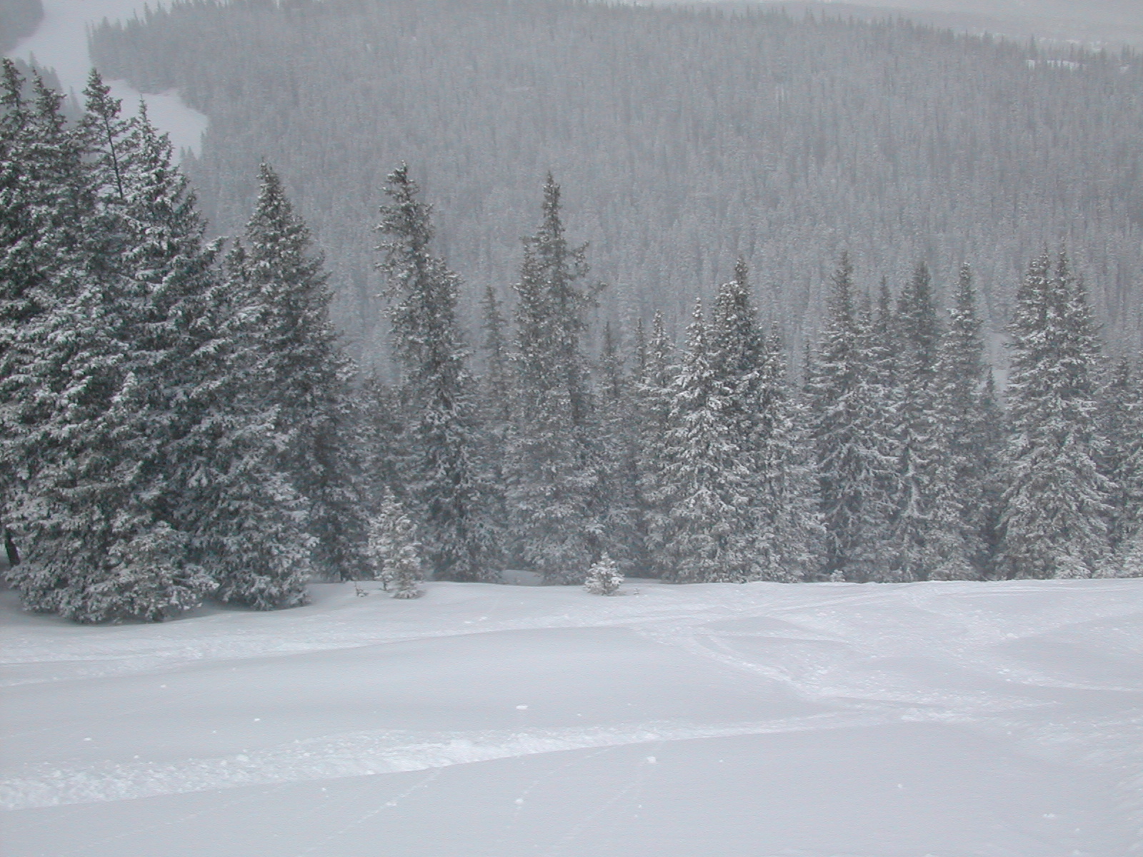 Powdery mountainside panorama 4