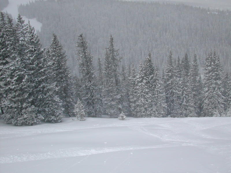 Powdery mountainside panorama 4