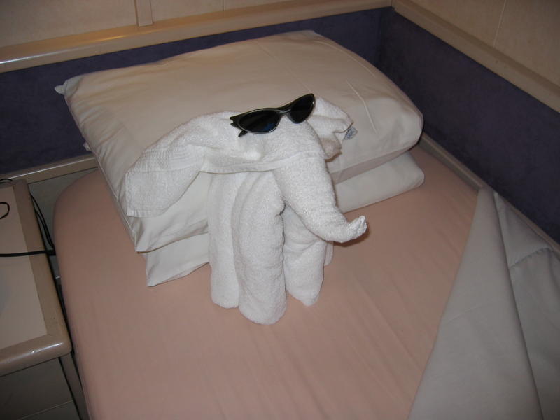 Our room attendant made lots of towel animals.